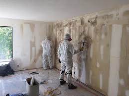 Best Post-Construction Mold Inspection  in St David, AZ